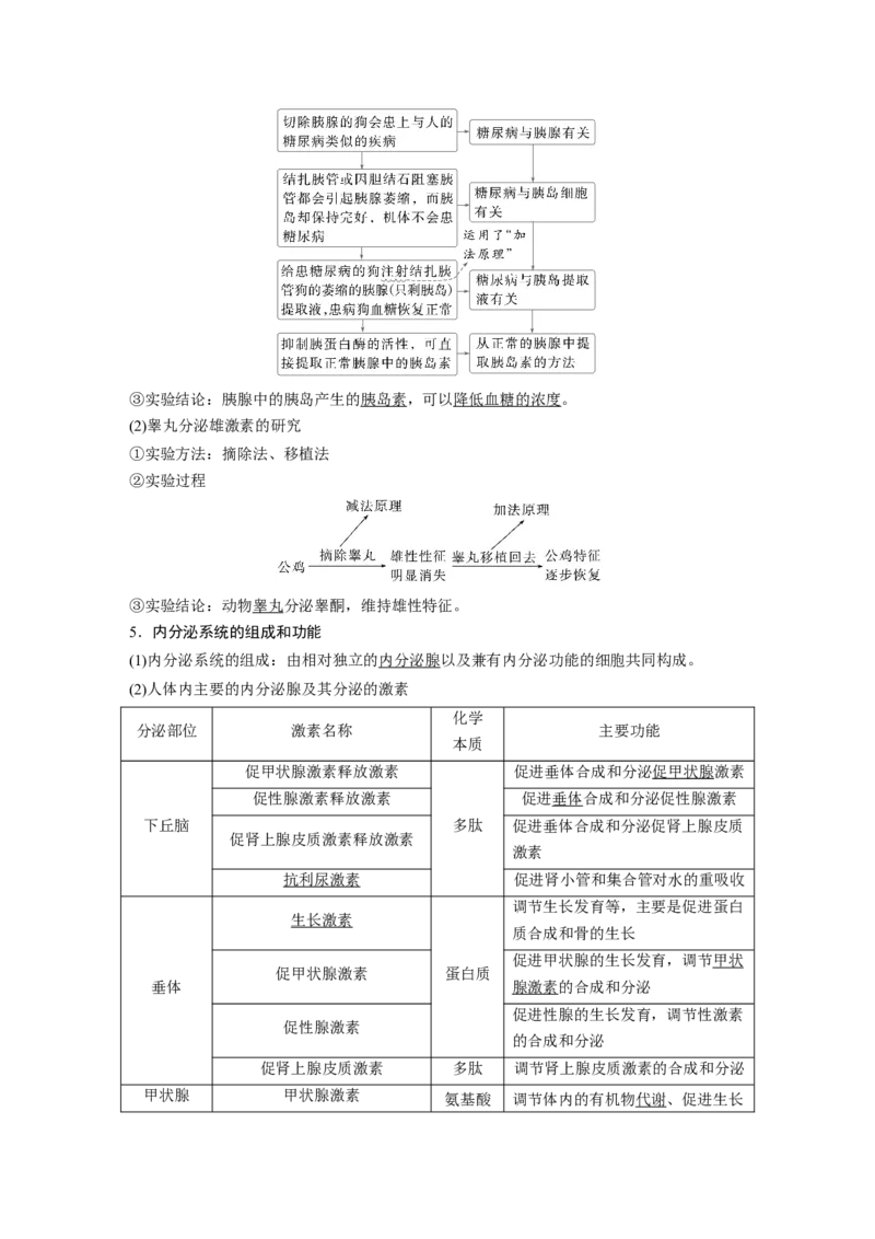 第八单元　第40课时　激素与内分泌调节及激素调节的过程_2025年新高考资料_一轮复习_2025大一轮复习讲义+课件（完结）_2025大一轮复习讲义生物教师用书Word版文档整书