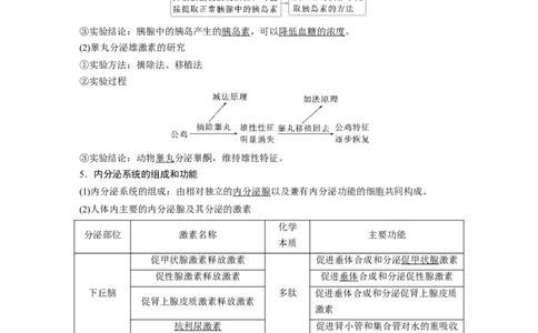 第八单元　第40课时　激素与内分泌调节及激素调节的过程_2025年新高考资料_一轮复习_2025大一轮复习讲义+课件（完结）_2025大一轮复习讲义生物教师用书Word版文档整书