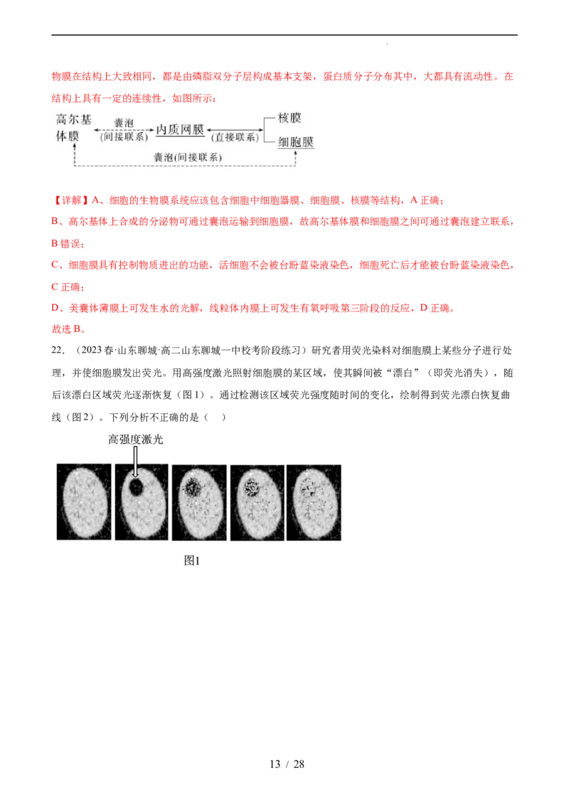 第二单元细胞的结构、功能和物质运输（测试）（解析版）_新高考复习资料_2024年新高考复习资料_一轮复习资料_完2024年高考生物一轮复习讲练测(课件+讲义+练习)（新高考）_单元测试
