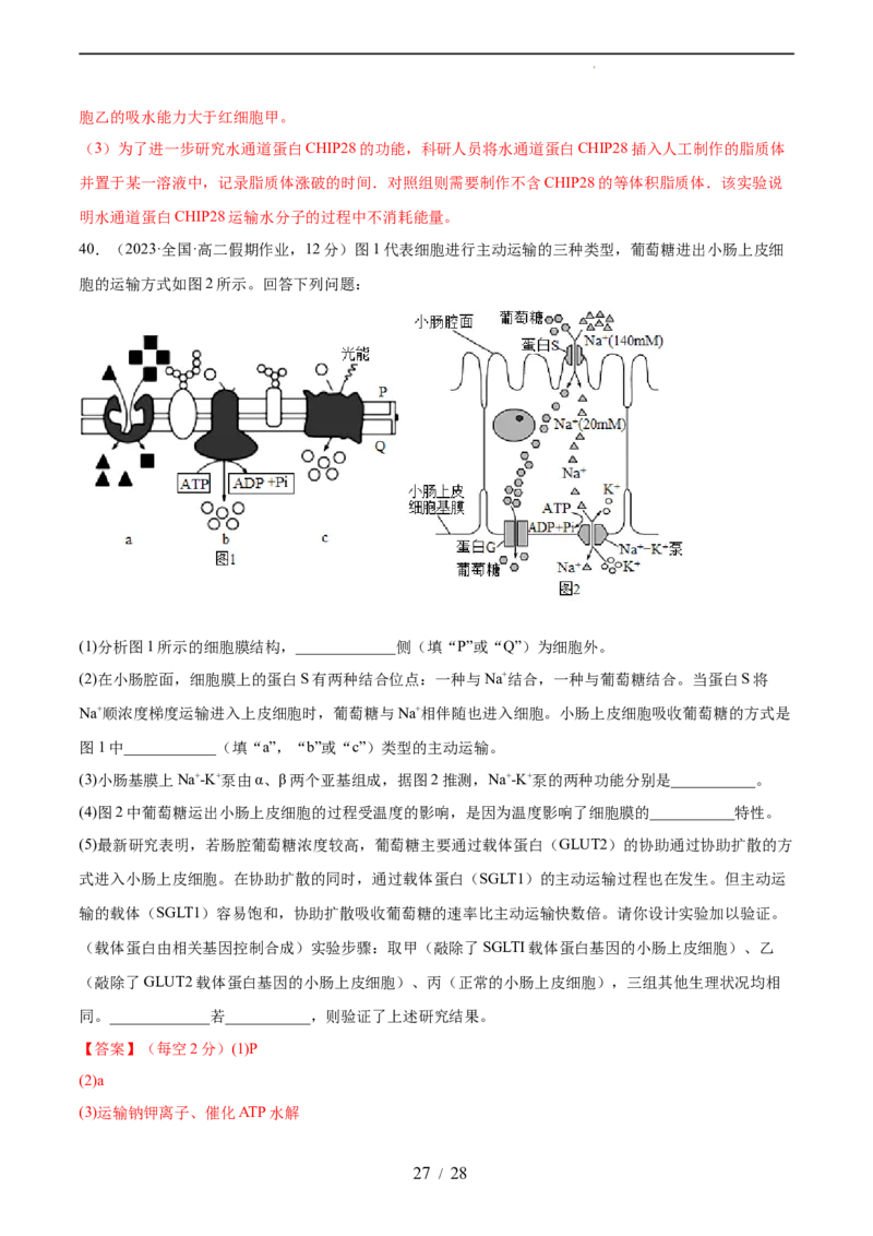 第二单元细胞的结构、功能和物质运输（测试）（解析版）_新高考复习资料_2024年新高考复习资料_一轮复习资料_完2024年高考生物一轮复习讲练测(课件+讲义+练习)（新高考）_单元测试