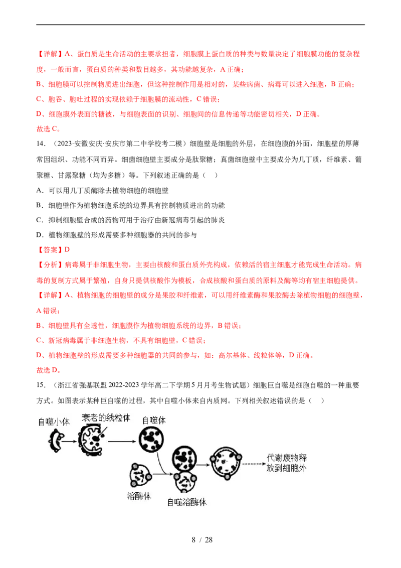 第二单元细胞的结构、功能和物质运输（测试）（解析版）_新高考复习资料_2024年新高考复习资料_一轮复习资料_完2024年高考生物一轮复习讲练测(课件+讲义+练习)（新高考）_单元测试
