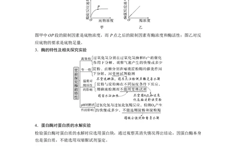 第一篇专题二考点二　酶在代谢中的作用_通用版（老高考）复习资料_2023年复习资料_二轮复习_2023年高考生物二轮复习讲义+课件（全国版）_2023年高考生物二轮复习讲义（全国版）_学生版