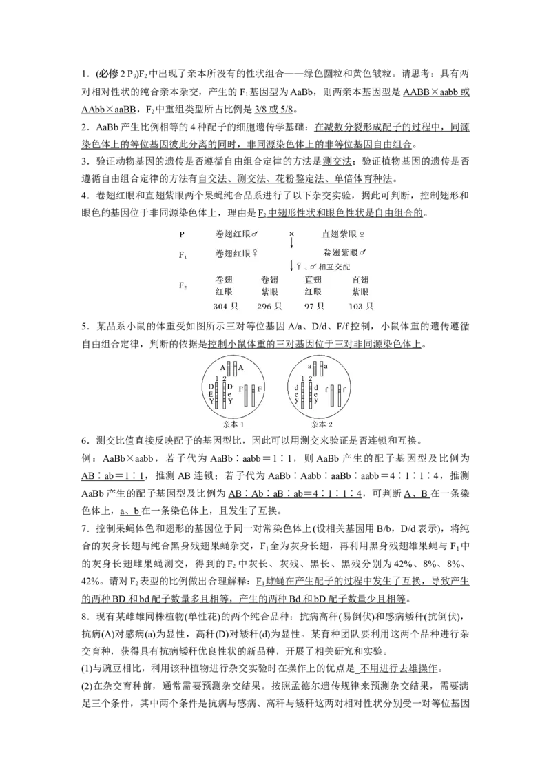 第五单元　第26课时　自由组合定律_2025年新高考资料_一轮复习_2025大一轮复习讲义+课件（完结）_2025大一轮复习讲义生物教师用书Word版文档整书_配套Word版文档第三~六单元