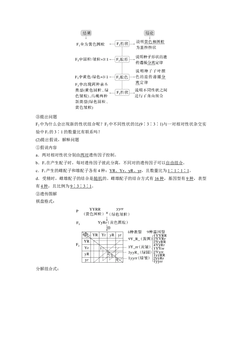 第五单元　第26课时　自由组合定律_2025年新高考资料_一轮复习_2025大一轮复习讲义+课件（完结）_2025大一轮复习讲义生物教师用书Word版文档整书_配套Word版文档第三~六单元