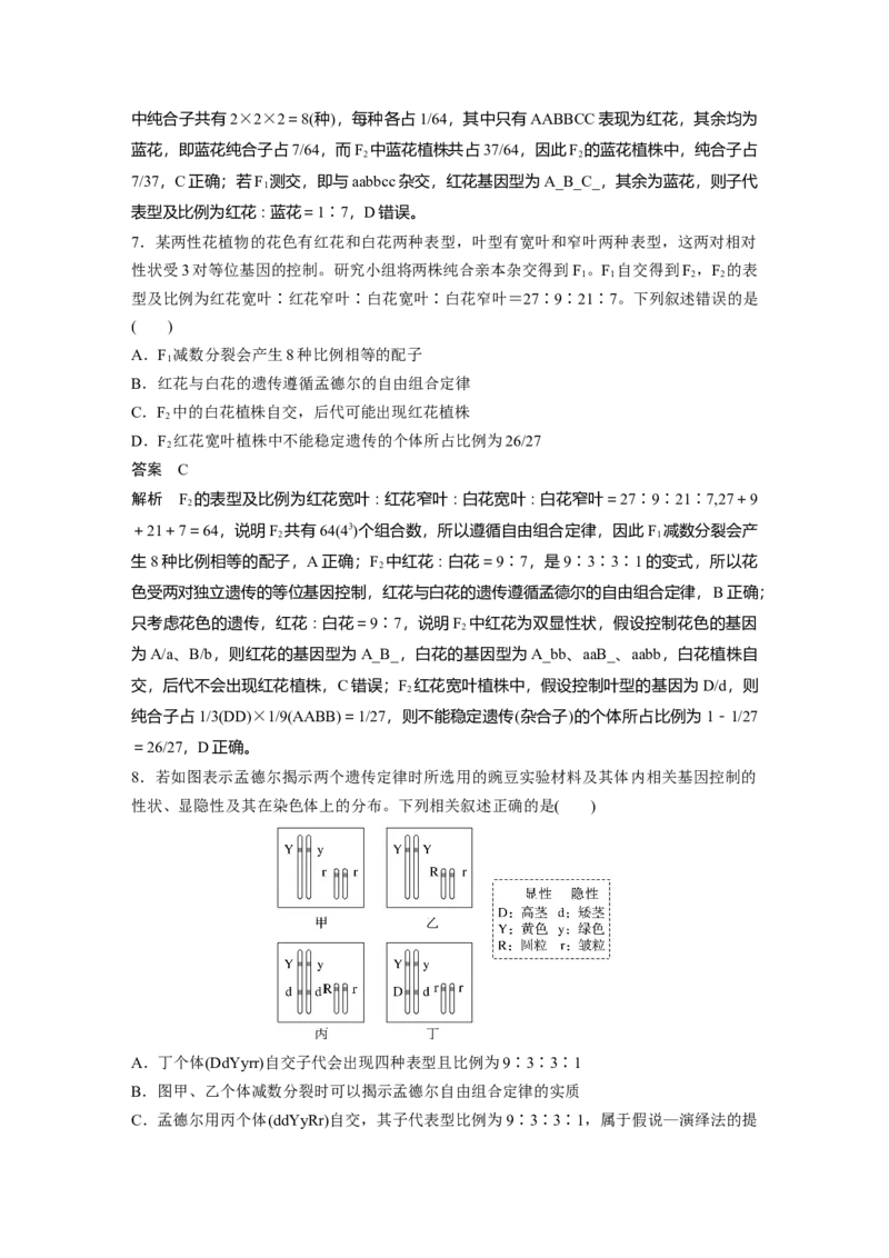 第五单元　第26课时　自由组合定律_2025年新高考资料_一轮复习_2025大一轮复习讲义+课件（完结）_2025大一轮复习讲义生物教师用书Word版文档整书_配套Word版文档第三~六单元
