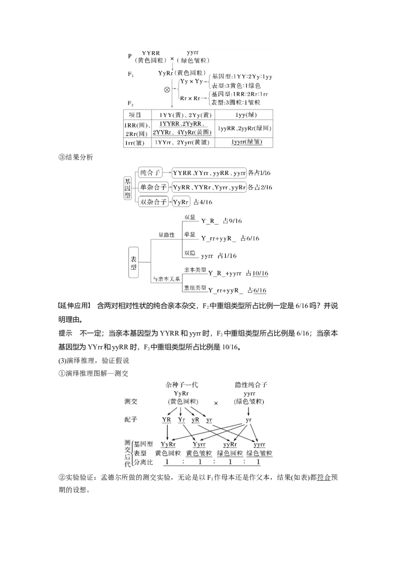 第五单元　第26课时　自由组合定律_2025年新高考资料_一轮复习_2025大一轮复习讲义+课件（完结）_2025大一轮复习讲义生物教师用书Word版文档整书_配套Word版文档第三~六单元