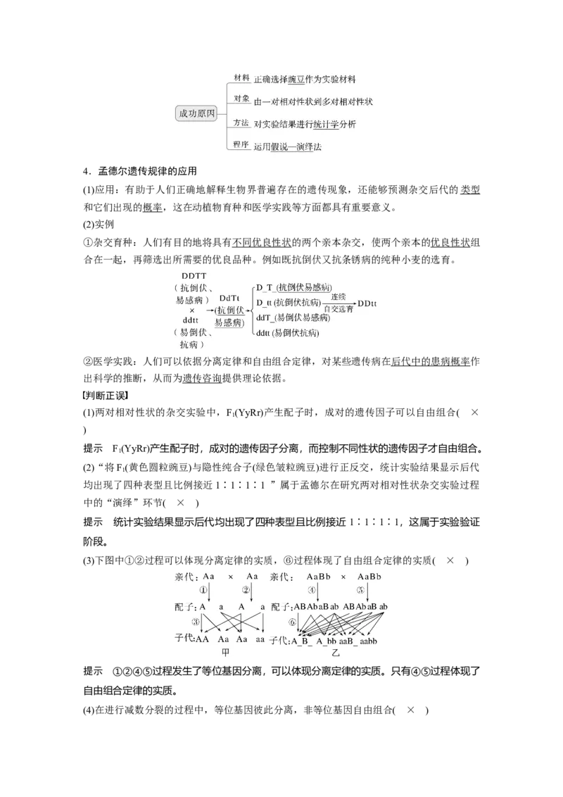 第五单元　第26课时　自由组合定律_2025年新高考资料_一轮复习_2025大一轮复习讲义+课件（完结）_2025大一轮复习讲义生物教师用书Word版文档整书_配套Word版文档第三~六单元