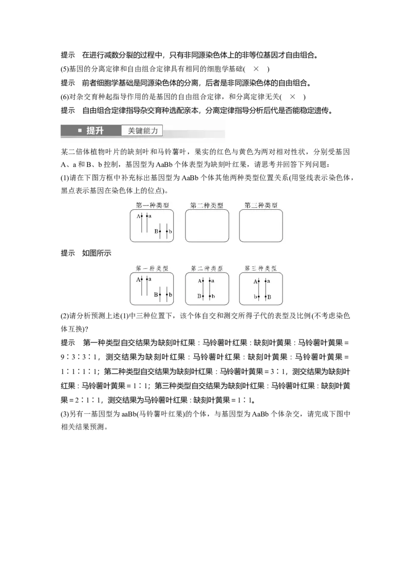 第五单元　第26课时　自由组合定律_2025年新高考资料_一轮复习_2025大一轮复习讲义+课件（完结）_2025大一轮复习讲义生物教师用书Word版文档整书_配套Word版文档第三~六单元