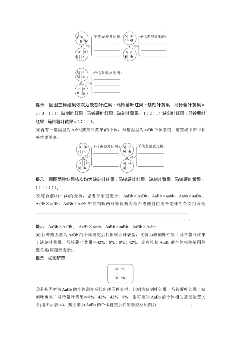 第五单元　第26课时　自由组合定律_2025年新高考资料_一轮复习_2025大一轮复习讲义+课件（完结）_2025大一轮复习讲义生物教师用书Word版文档整书_配套Word版文档第三~六单元