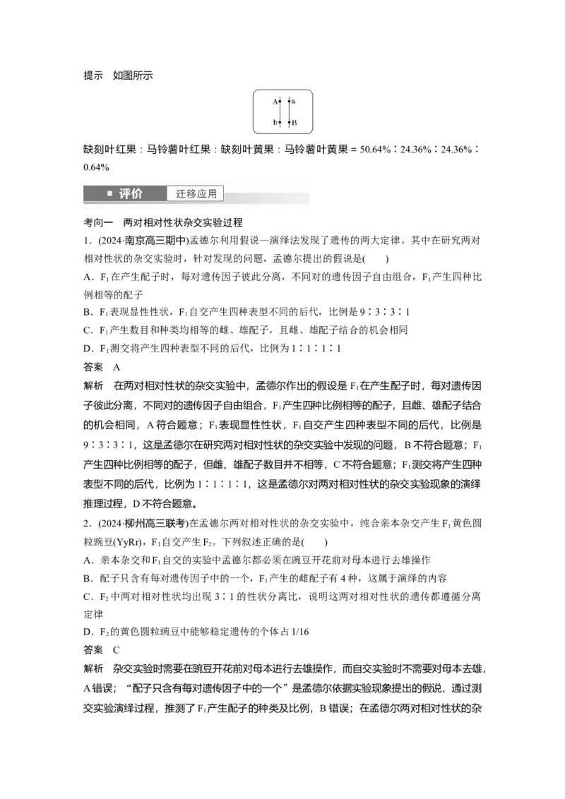第五单元　第26课时　自由组合定律_2025年新高考资料_一轮复习_2025大一轮复习讲义+课件（完结）_2025大一轮复习讲义生物教师用书Word版文档整书_配套Word版文档第三~六单元