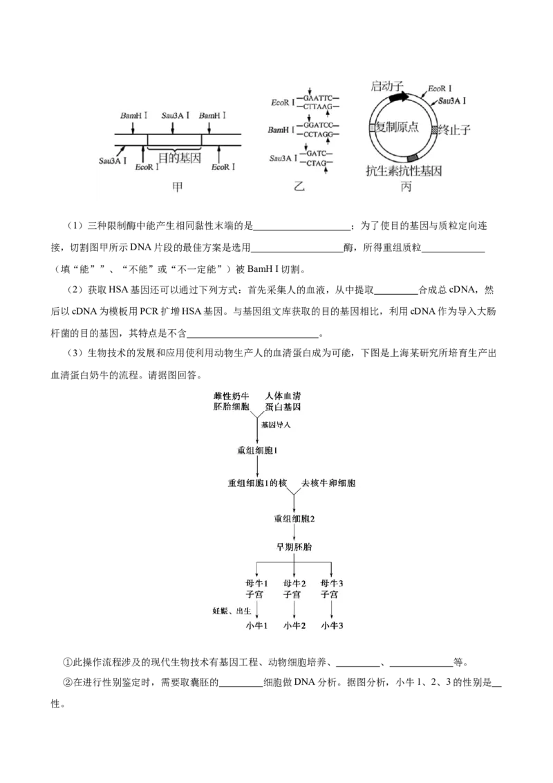 第十三单元细胞工程（B卷能力提升练）-2023年高考生物一轮复习单元滚动双测卷（新高考专用）（解析版）_新高考复习资料_2023年新高考复习资料_一轮复习