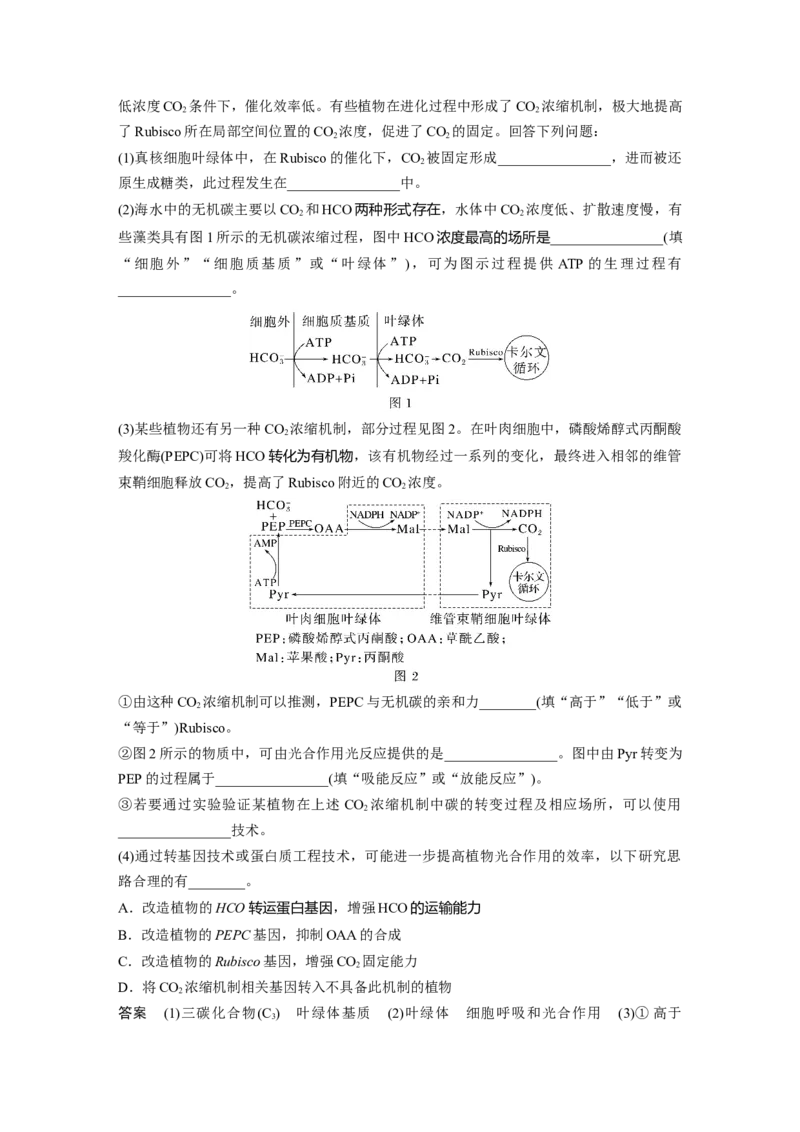 第三单元　专题突破2　不同生物固定二氧化碳的方式比较_2025年新高考资料_一轮复习_2025大一轮复习讲义+课件（完结）_2025大一轮复习讲义生物教师用书Word版文档整书