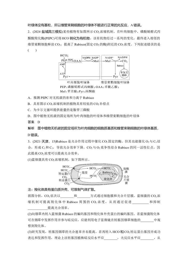 第三单元　专题突破2　不同生物固定二氧化碳的方式比较_2025年新高考资料_一轮复习_2025大一轮复习讲义+课件（完结）_2025大一轮复习讲义生物教师用书Word版文档整书