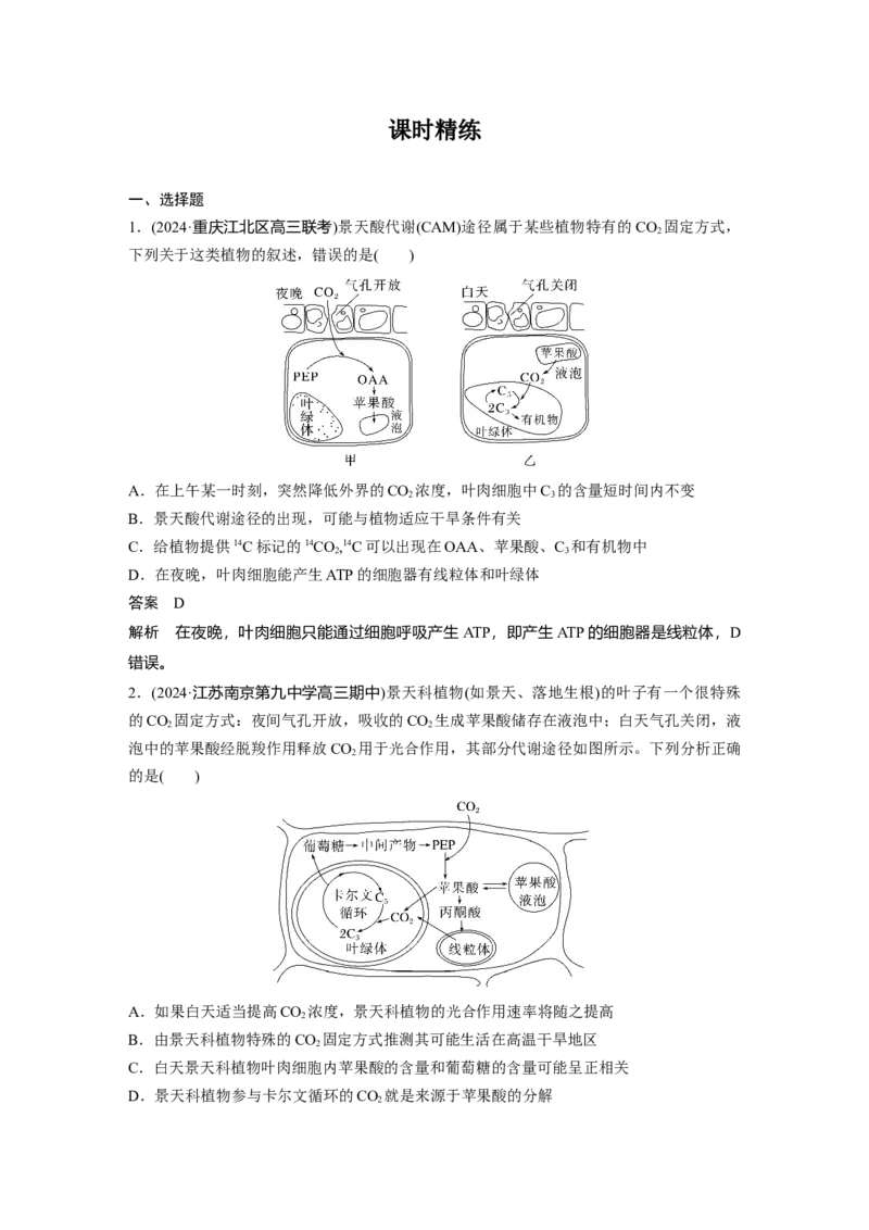 第三单元　专题突破2　不同生物固定二氧化碳的方式比较_2025年新高考资料_一轮复习_2025大一轮复习讲义+课件（完结）_2025大一轮复习讲义生物教师用书Word版文档整书