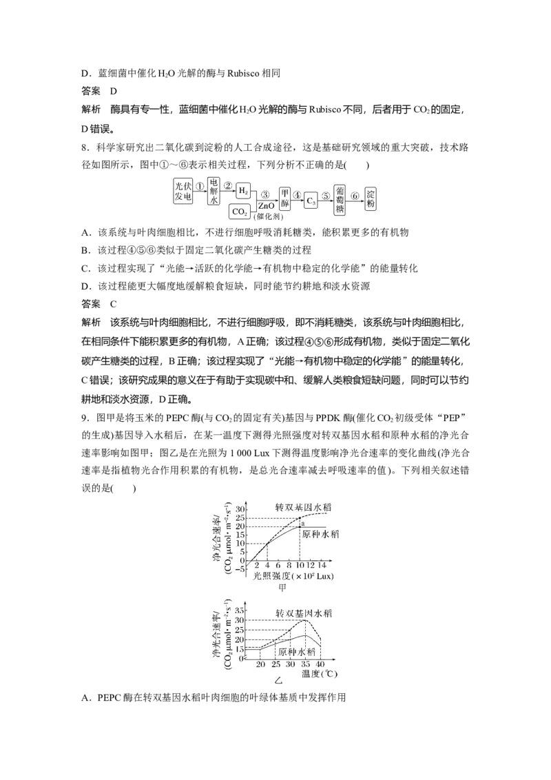 第三单元　专题突破2　不同生物固定二氧化碳的方式比较_2025年新高考资料_一轮复习_2025大一轮复习讲义+课件（完结）_2025大一轮复习讲义生物教师用书Word版文档整书