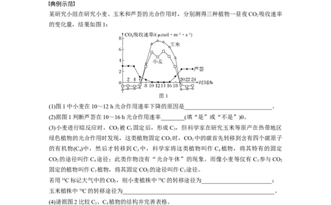 第三单元　专题突破2　不同生物固定二氧化碳的方式比较_2025年新高考资料_一轮复习_2025大一轮复习讲义+课件（完结）_2025大一轮复习讲义生物教师用书Word版文档整书