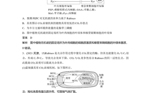 第三单元　专题突破2　不同生物固定二氧化碳的方式比较_2025年新高考资料_一轮复习_2025大一轮复习讲义+课件（完结）_2025大一轮复习讲义生物教师用书Word版文档整书