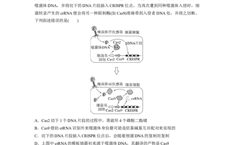 第一篇专题五微专题(三)　遗传前沿科技_通用版（老高考）复习资料_2023年复习资料_二轮复习_2023年高考生物二轮复习讲义+课件（全国版）_2023年高考生物二轮复习讲义（全国版）_学生版