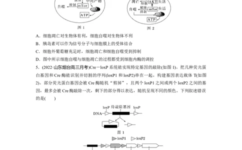 第一篇专题五微专题(三)　遗传前沿科技_通用版（老高考）复习资料_2023年复习资料_二轮复习_2023年高考生物二轮复习讲义+课件（全国版）_2023年高考生物二轮复习讲义（全国版）_学生版