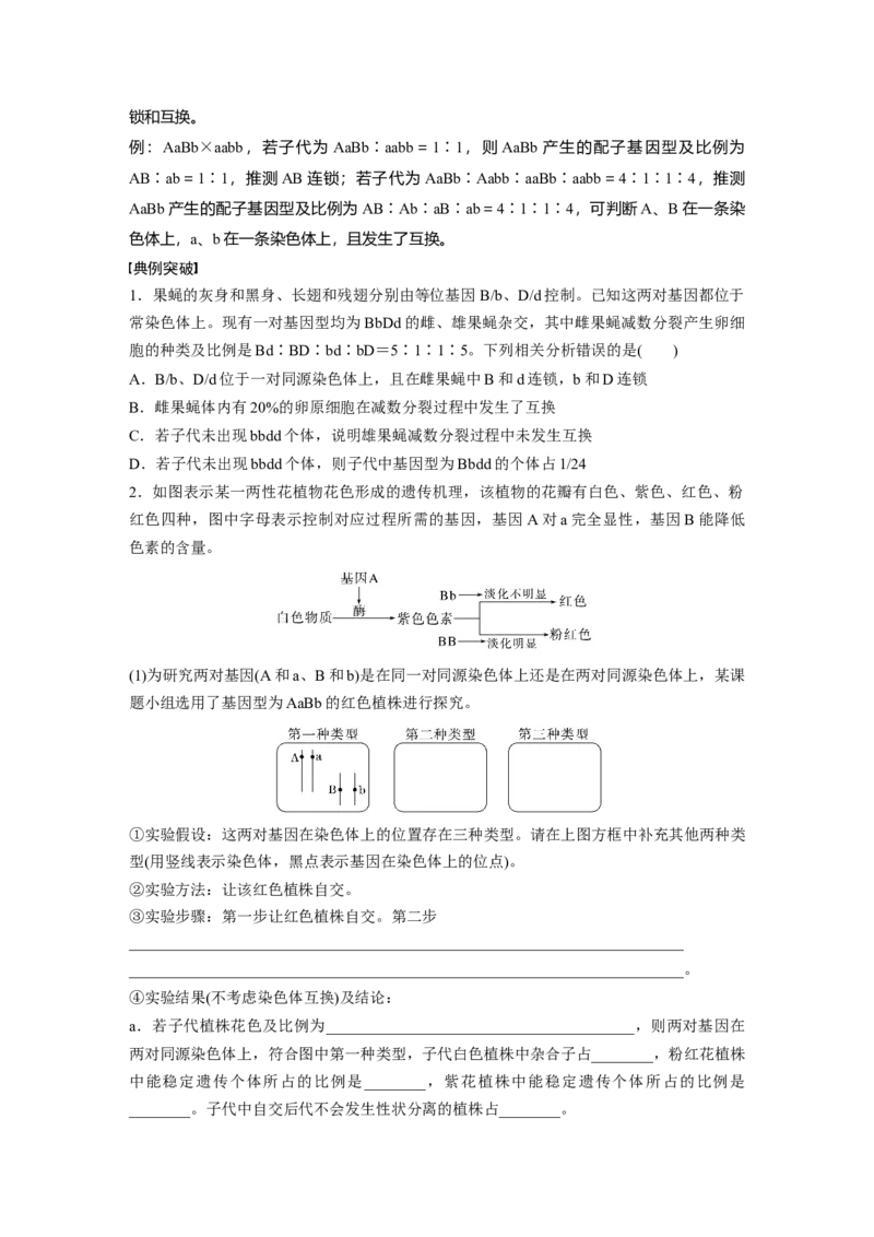 第五单元　专题突破7　探究不同对基因在常染色体上的位置_2025年新高考资料_一轮复习_2025大一轮复习讲义+课件（完结）_2025大一轮复习讲义生物学生用书Word版文档整书
