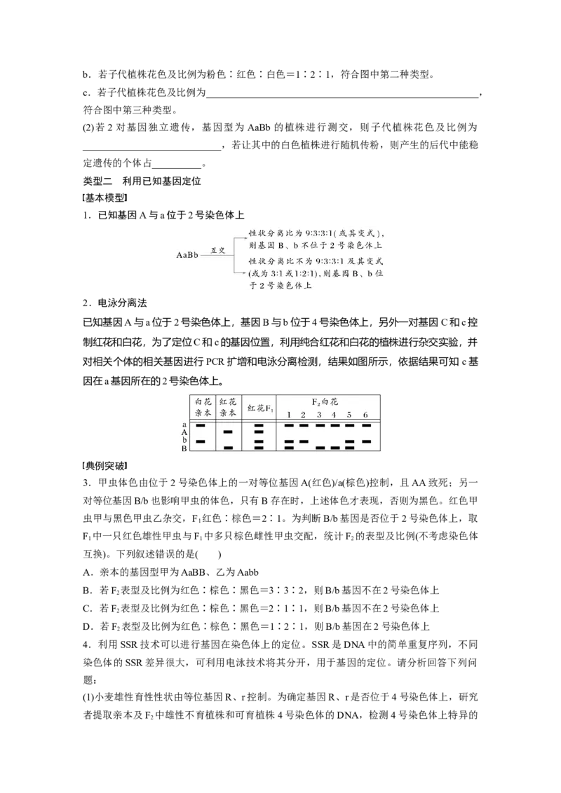 第五单元　专题突破7　探究不同对基因在常染色体上的位置_2025年新高考资料_一轮复习_2025大一轮复习讲义+课件（完结）_2025大一轮复习讲义生物学生用书Word版文档整书
