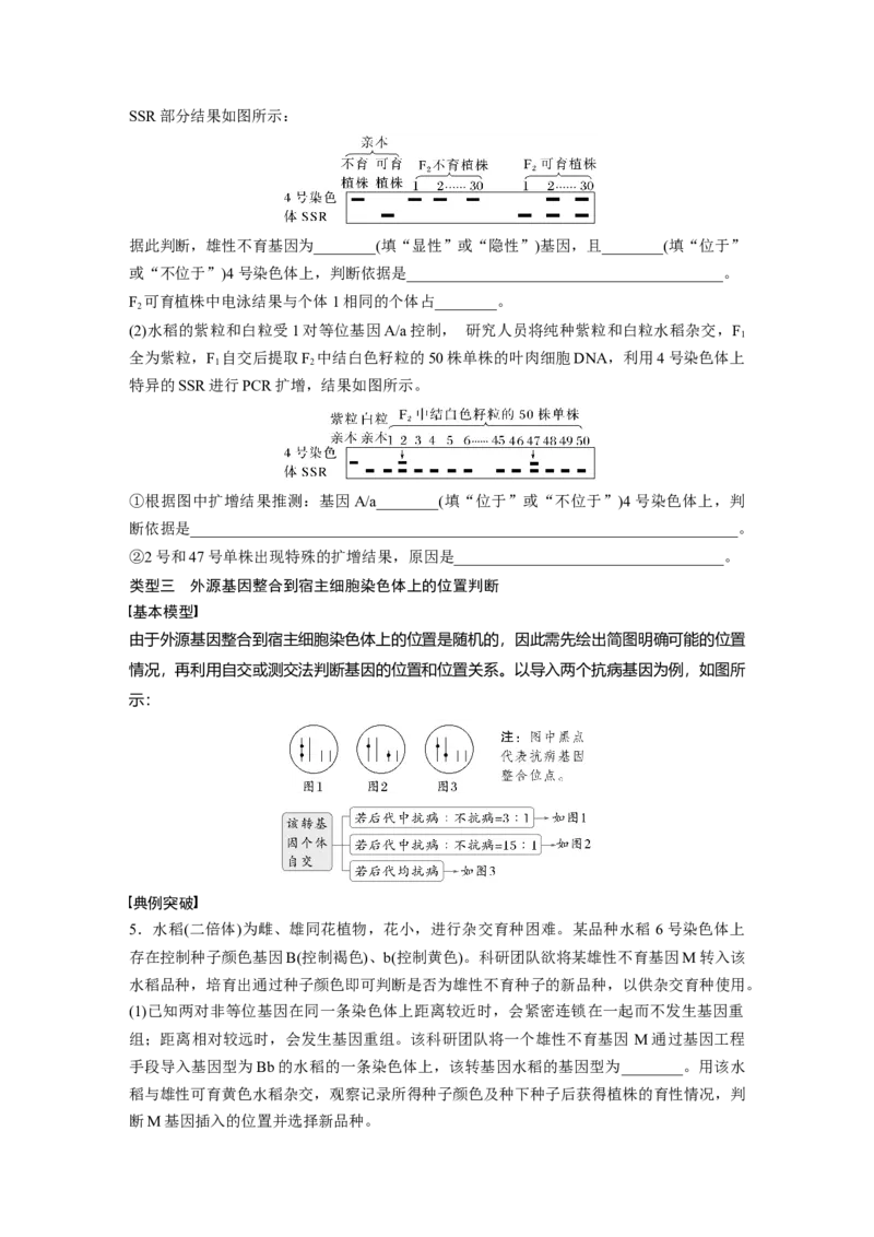 第五单元　专题突破7　探究不同对基因在常染色体上的位置_2025年新高考资料_一轮复习_2025大一轮复习讲义+课件（完结）_2025大一轮复习讲义生物学生用书Word版文档整书