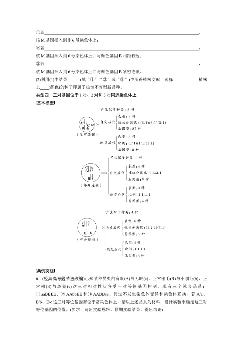 第五单元　专题突破7　探究不同对基因在常染色体上的位置_2025年新高考资料_一轮复习_2025大一轮复习讲义+课件（完结）_2025大一轮复习讲义生物学生用书Word版文档整书