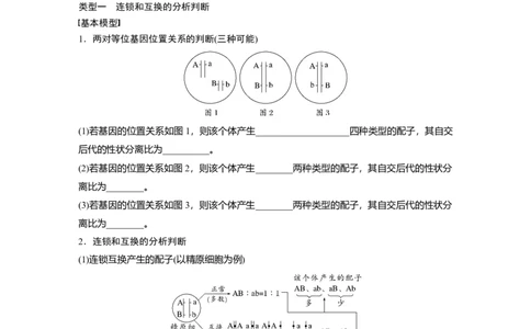 第五单元　专题突破7　探究不同对基因在常染色体上的位置_2025年新高考资料_一轮复习_2025大一轮复习讲义+课件（完结）_2025大一轮复习讲义生物学生用书Word版文档整书