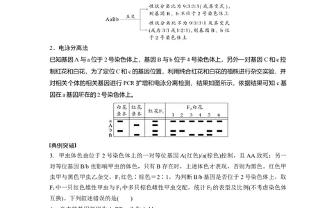 第五单元　专题突破7　探究不同对基因在常染色体上的位置_2025年新高考资料_一轮复习_2025大一轮复习讲义+课件（完结）_2025大一轮复习讲义生物学生用书Word版文档整书