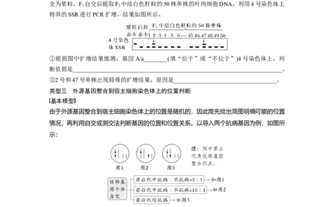 第五单元　专题突破7　探究不同对基因在常染色体上的位置_2025年新高考资料_一轮复习_2025大一轮复习讲义+课件（完结）_2025大一轮复习讲义生物学生用书Word版文档整书