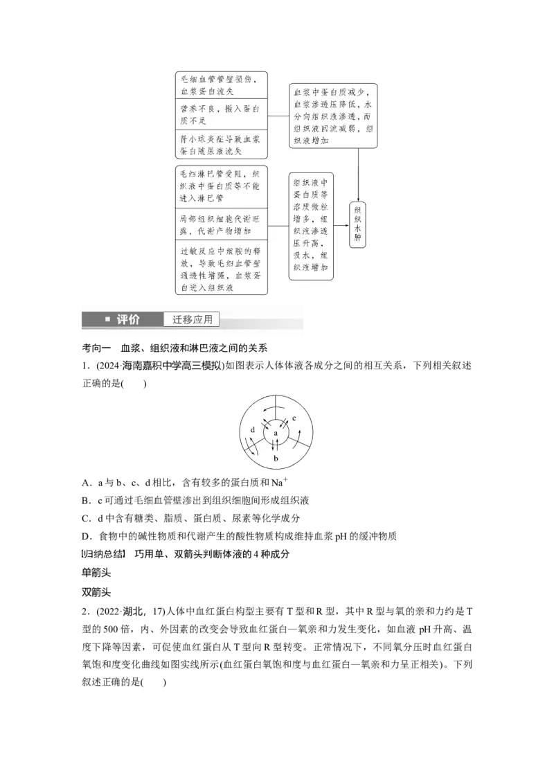 第八单元　第36课时　人体的内环境与稳态_2025年新高考资料_一轮复习_2025大一轮复习讲义+课件（完结）_2025大一轮复习讲义生物学生用书Word版文档整书_2025大一轮复习讲义