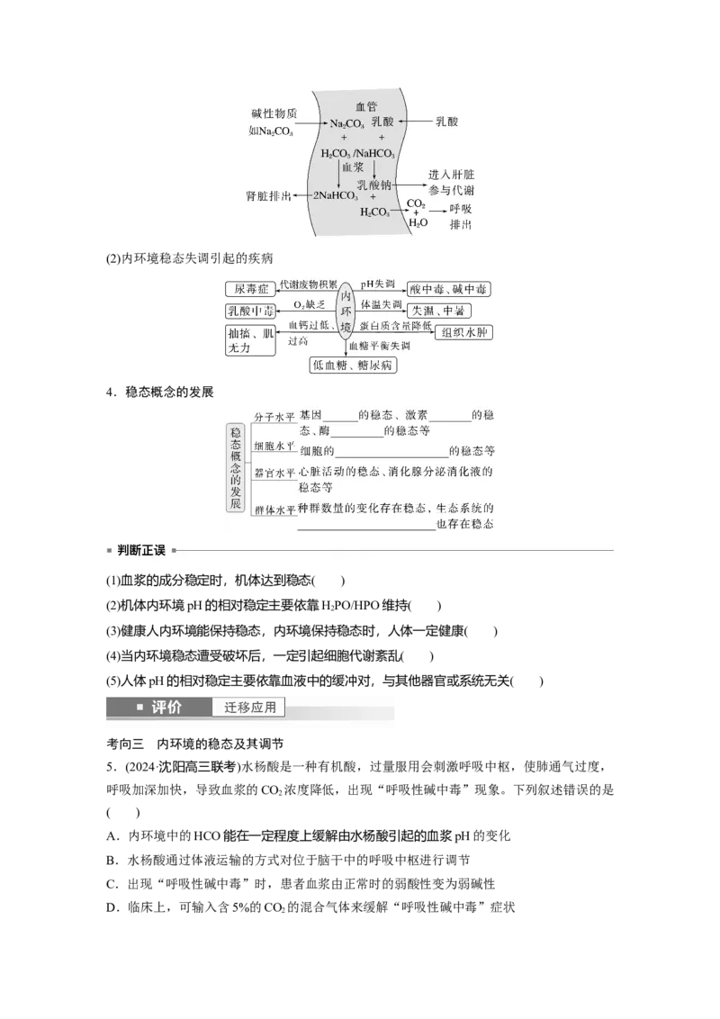 第八单元　第36课时　人体的内环境与稳态_2025年新高考资料_一轮复习_2025大一轮复习讲义+课件（完结）_2025大一轮复习讲义生物学生用书Word版文档整书_2025大一轮复习讲义