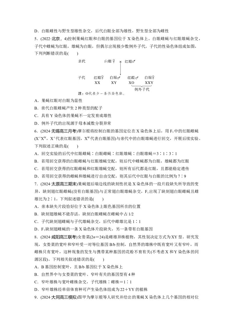 第五单元课时练27基因在染色体上_2025年新高考资料_一轮复习_2025大一轮复习讲义+课件（完结）_2025大一轮复习讲义生物学生用书Word版文档整书_2025一轮复习73练