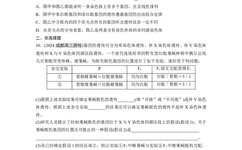 第五单元课时练27基因在染色体上_2025年新高考资料_一轮复习_2025大一轮复习讲义+课件（完结）_2025大一轮复习讲义生物学生用书Word版文档整书_2025一轮复习73练