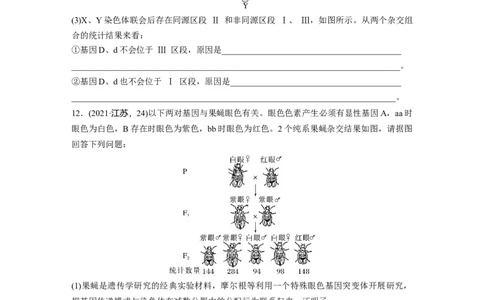 第五单元课时练27基因在染色体上_2025年新高考资料_一轮复习_2025大一轮复习讲义+课件（完结）_2025大一轮复习讲义生物学生用书Word版文档整书_2025一轮复习73练
