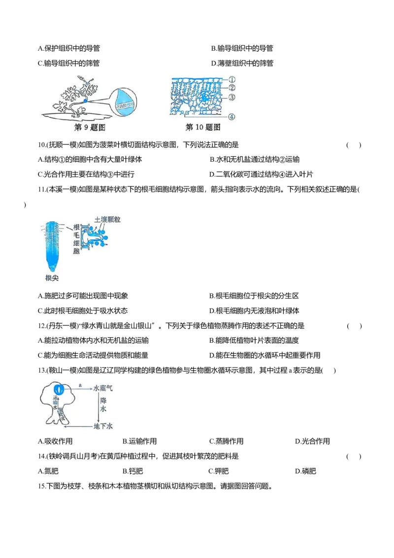 2026年中考生物复习专题练习：专题十三植物的营养与物质运输（含答案）_6生物中考复习_2026年中考复习（更新中）_2026年中考生物一轮复习专题练习（含答案）