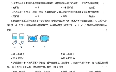 2026年中考生物复习专题练习：专题十三植物的营养与物质运输（含答案）_6生物中考复习_2026年中考复习（更新中）_2026年中考生物一轮复习专题练习（含答案）