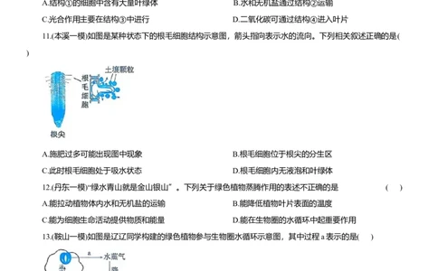 2026年中考生物复习专题练习：专题十三植物的营养与物质运输（含答案）_6生物中考复习_2026年中考复习（更新中）_2026年中考生物一轮复习专题练习（含答案）