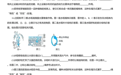 2026年中考生物复习专题练习：专题十三植物的营养与物质运输（含答案）_6生物中考复习_2026年中考复习（更新中）_2026年中考生物一轮复习专题练习（含答案）