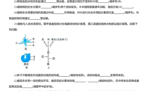 2026年中考生物复习专题练习：专题十三植物的营养与物质运输（含答案）_6生物中考复习_2026年中考复习（更新中）_2026年中考生物一轮复习专题练习（含答案）
