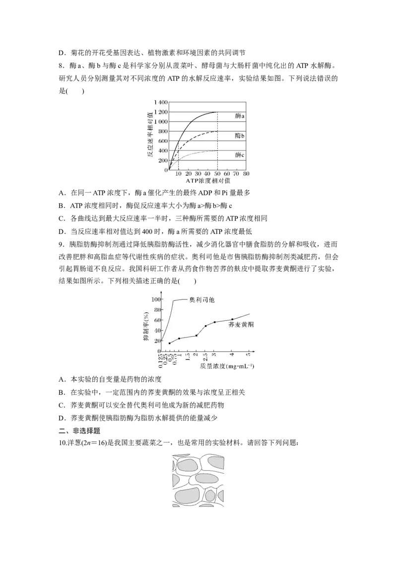 第三单元　专题突破1实验技能集训_2025年新高考资料_一轮复习_2025大一轮复习讲义+课件（完结）_2025大一轮复习讲义生物学生用书Word版文档整书_2025一轮复习73练