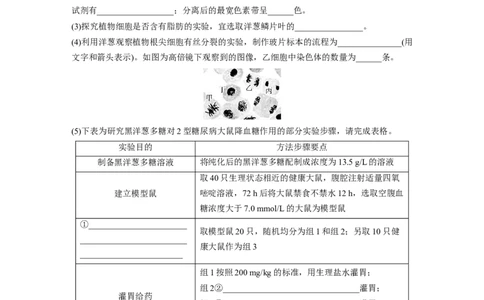 第三单元　专题突破1实验技能集训_2025年新高考资料_一轮复习_2025大一轮复习讲义+课件（完结）_2025大一轮复习讲义生物学生用书Word版文档整书_2025一轮复习73练