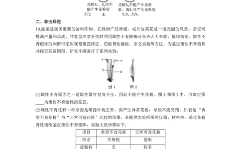第五单元专题突破5基因分离定律拓展题型集训_2025年新高考资料_一轮复习_2025大一轮复习讲义+课件（完结）_2025大一轮复习讲义生物学生用书Word版文档整书_2025一轮复习73练