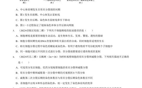 第5讲细胞的分裂、分化、衰老和死亡（检测）（原卷版）_新高考复习资料_2023年新高考复习资料_二轮复习_2023年高考生物二轮复习讲练测（新教材专用）