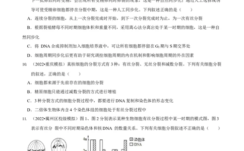 第5讲细胞的分裂、分化、衰老和死亡（检测）（原卷版）_新高考复习资料_2023年新高考复习资料_二轮复习_2023年高考生物二轮复习讲练测（新教材专用）