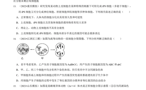 第5讲细胞的分裂、分化、衰老和死亡（检测）（原卷版）_新高考复习资料_2023年新高考复习资料_二轮复习_2023年高考生物二轮复习讲练测（新教材专用）