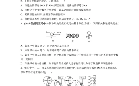 第一单元　课时练5核酸是遗传信息的携带者_2025年新高考资料_一轮复习_2025大一轮复习讲义+课件（完结）_2025大一轮复习讲义生物学生用书Word版文档整书_2025一轮复习73练