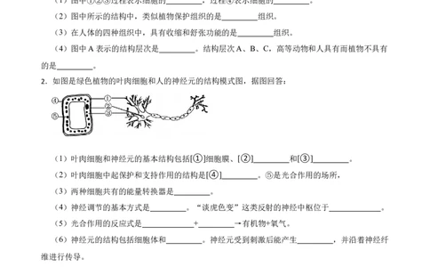 2024年中考生物读图理解专题复习：生物体的结构层次（含答案）_6生物中考复习_2024年中考复习资料_二轮复习_备考2024中考生物二轮复习读图理解精练
