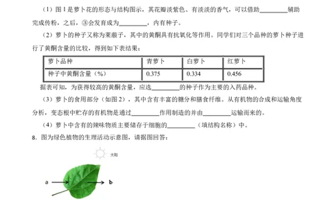 2024年中考生物读图理解专题复习：生物体的结构层次（含答案）_6生物中考复习_2024年中考复习资料_二轮复习_备考2024中考生物二轮复习读图理解精练