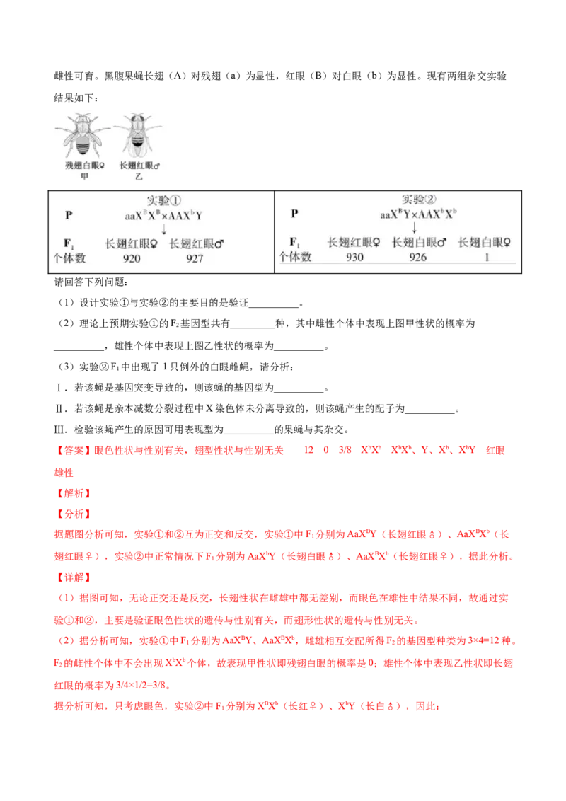 第七单元伴性遗传和人类遗传病（作业）_新高考复习资料_2022年新高考复习资料_2022届一轮复习讲练结合7.13更新_系列一_第七单元伴性遗传和人类遗传病